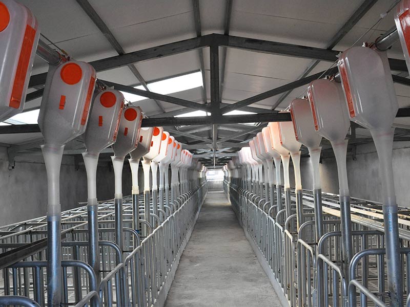 未來(lái)七年，中國(guó)豬肉產(chǎn)能將新增1400萬(wàn)頭！這類(lèi)養(yǎng)豬場(chǎng)前景廣闊！